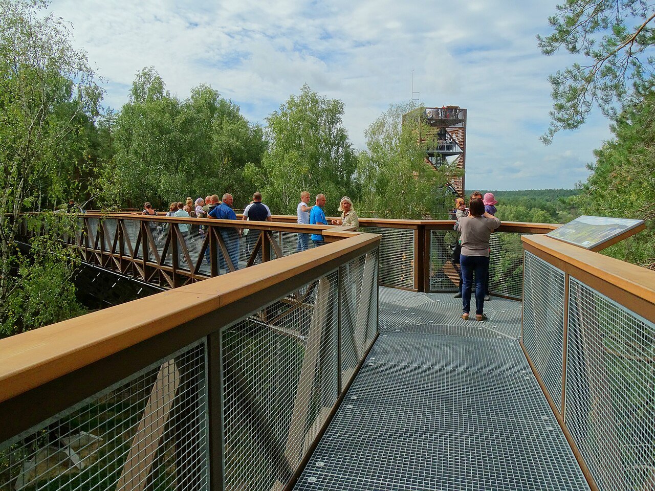 Treetop Walking Path through the forest canopy in Anykščiai