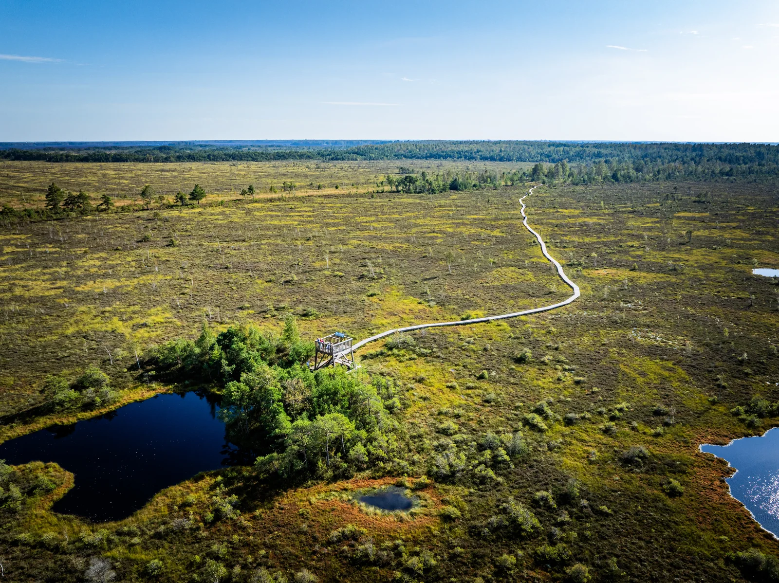 Aerial view of Aukštumala bog, with a winding wooden boardwalk, viewing platform and dark pools.