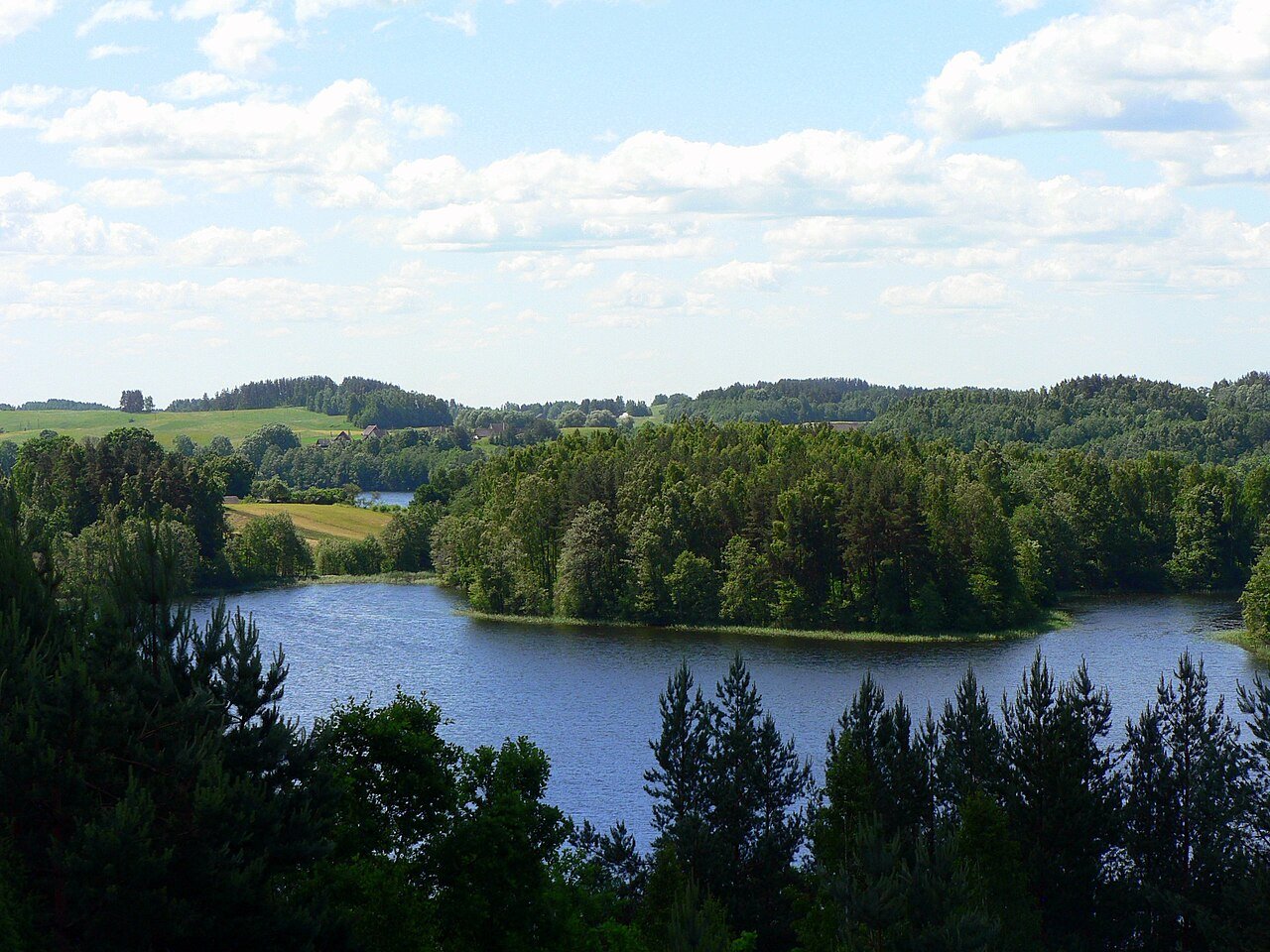 Lake and forest landscape seen from Ladakalnis in Aukštaitija National Park
