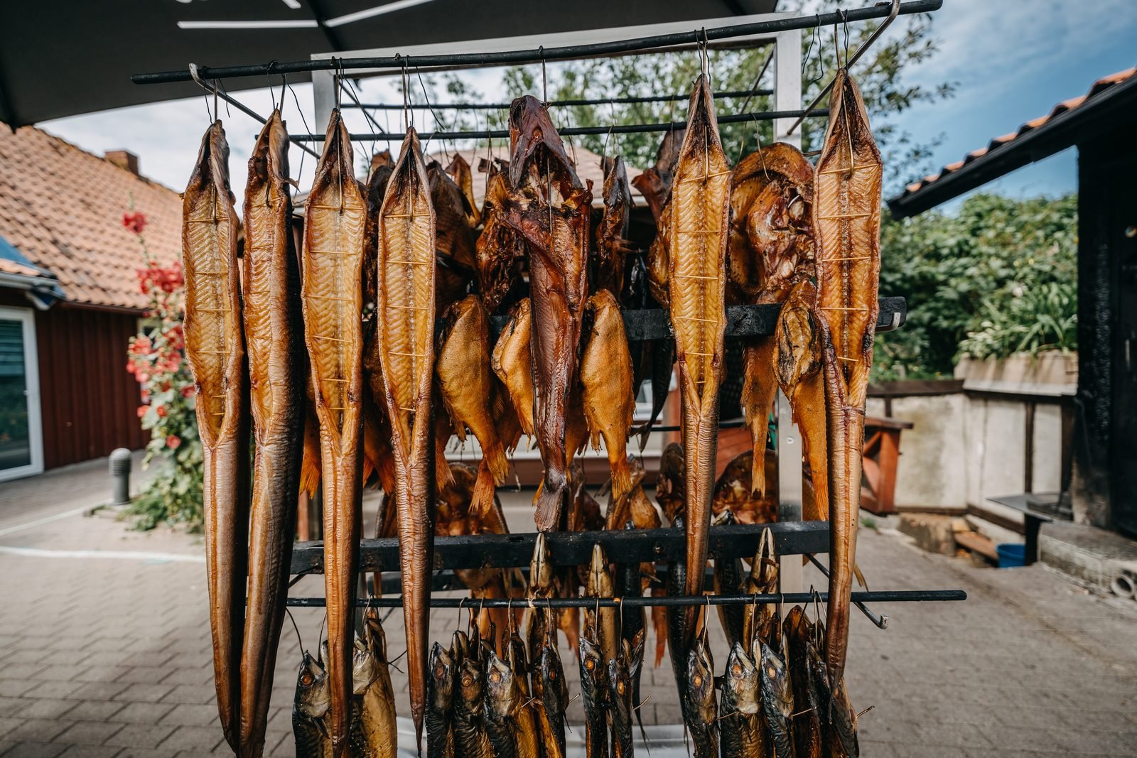 Freshly smoked fish on the Curonian Spit