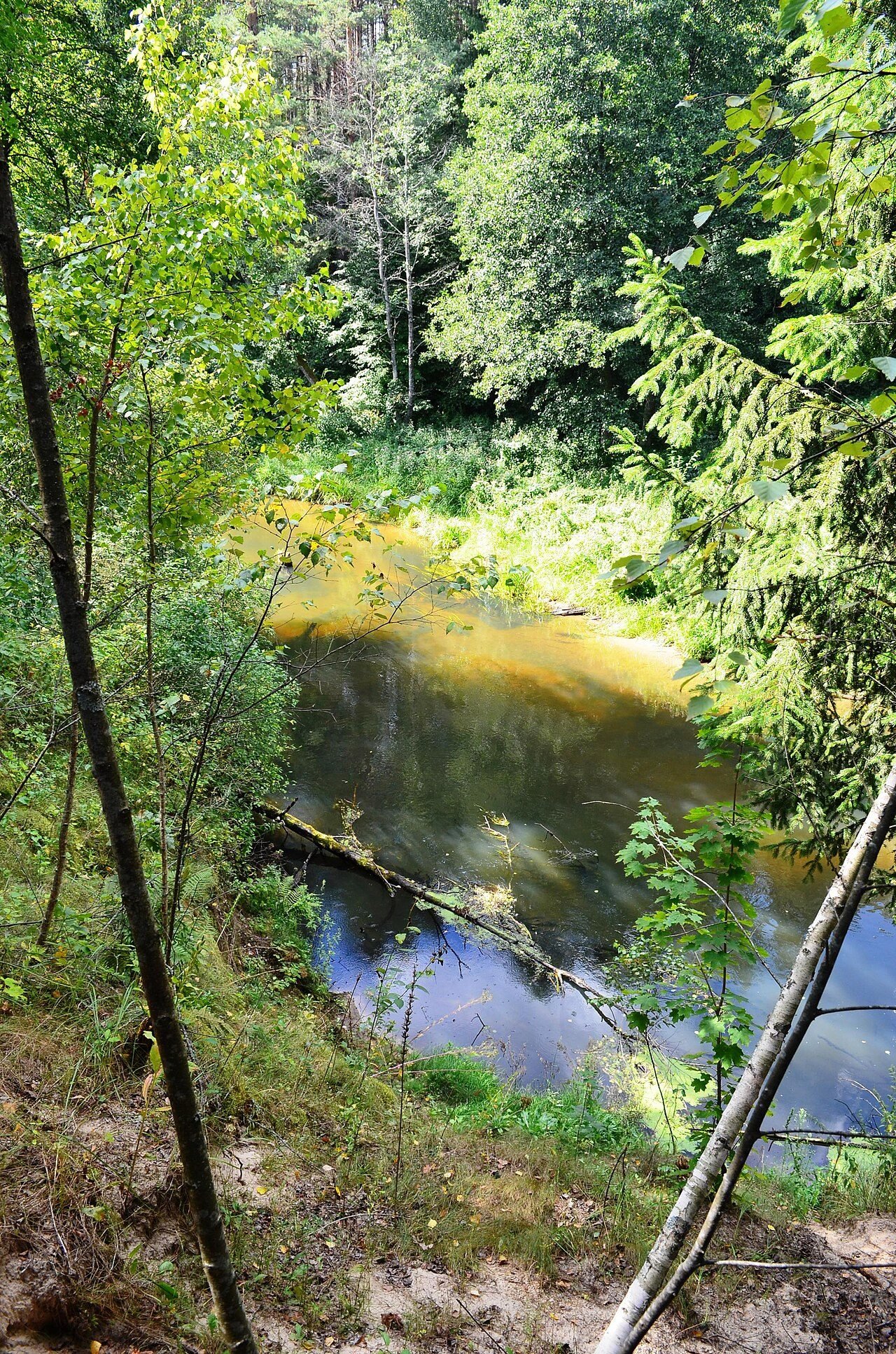 Ūla River at Zervynos in Dzūkija National Park