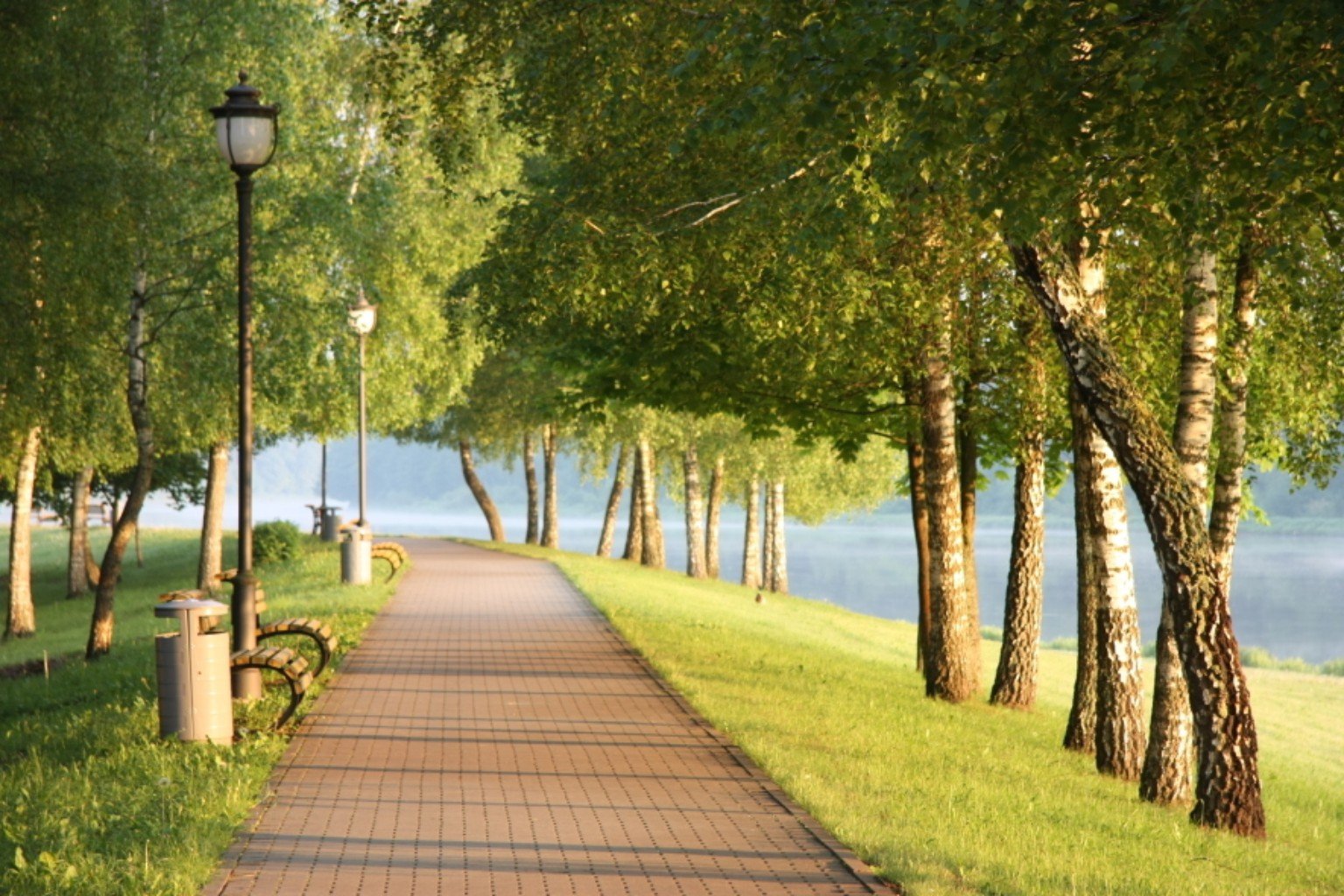 Tree-lined Nemunas promenade in Birštonas