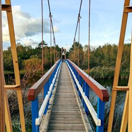 Suspension footbridge over the Šventoji River